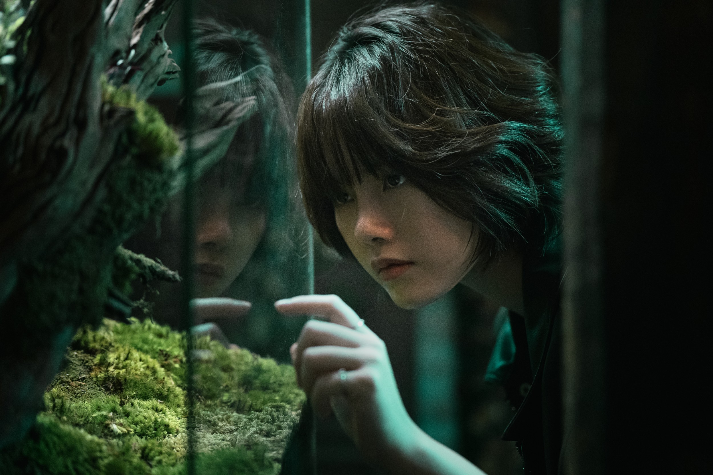 Jpg Netflix Dalah Death and the Flowers